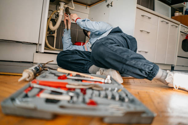 Best Drain Cleaning Services  in Lapeer, MI