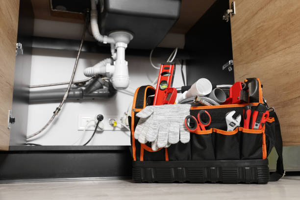 Best Residential Plumbing Services  in Lapeer, MI