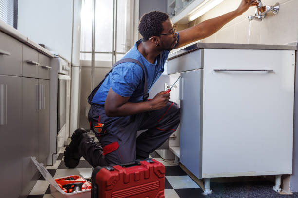 Best Plumbing Services Near Me  in Lapeer, MI